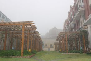 雾中的童林堡-心灵种植区